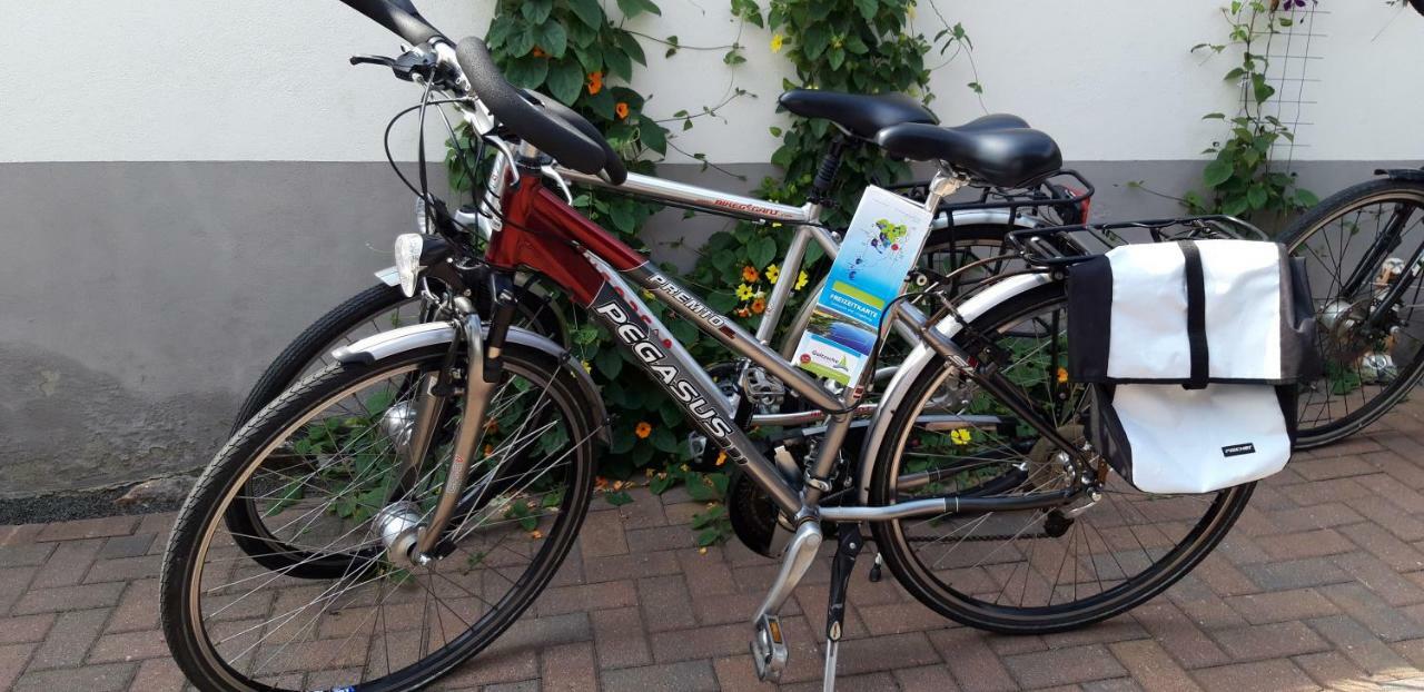 Ferienapartment-Monteurwohnung-Muldestausee Pouch Kültér fotó
